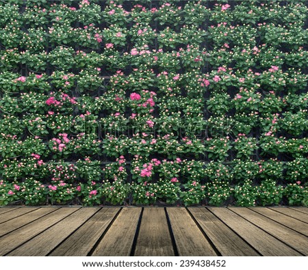 flower wall vertical garden