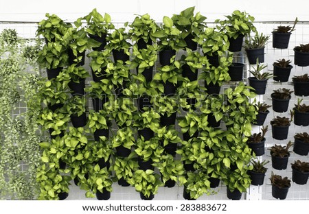 vertical green plant pattern in many black pot
