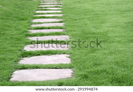 The path way in the garden