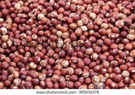 a lot of pigeon pea for background