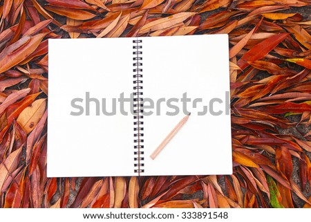 book with blank pages as copy space on fallen autumn leaves background, Top View.HDR toning
