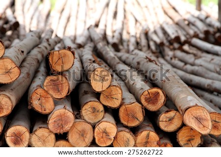 A pile of logs prepared to make piles