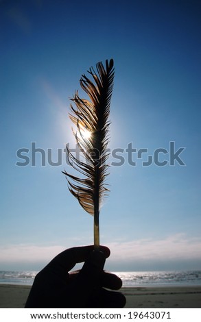 Sunlight penetrates through a feather held by a man\'s hand with blue sky and the ocean on a background