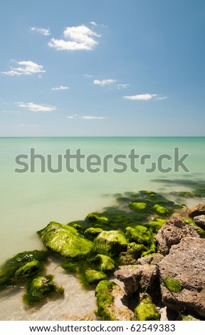 Limestone covered with seaweed at the beach on Gulf of Mexico