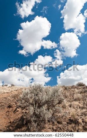 White fluffy clouds on bright blue sky  over the hill in Eastern Washington