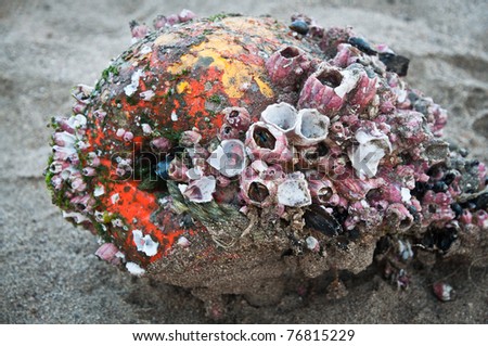 Old buoy covered with barnacles washed away on the beach