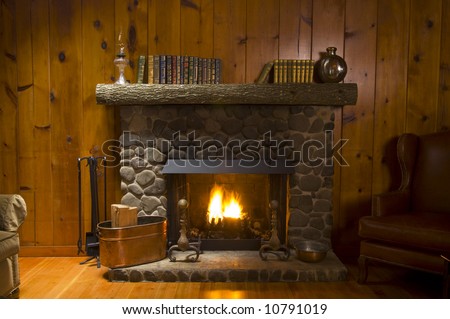 stone fireplace with books on the mantel and the fire blazing inside with natural light