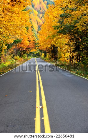 center line of the road in fall showing distant view Pacific Northwest USA