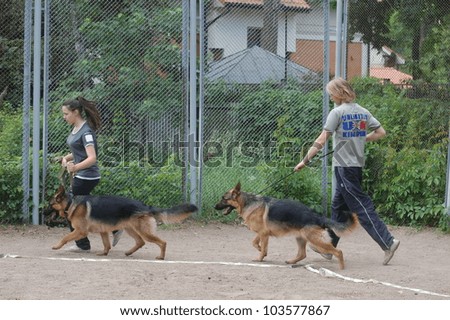 KIEV,UKRAINE-MAY 27: unidentified people shows they dogs at the Kiev Regional exhibition of dogs , on May 27,2012  in Kiev,Ukraine