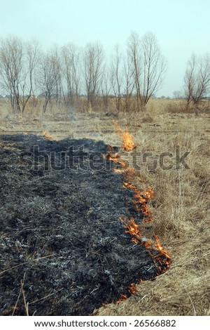 Burning Earth.Fire of grass. Near Kiev,Ukraine