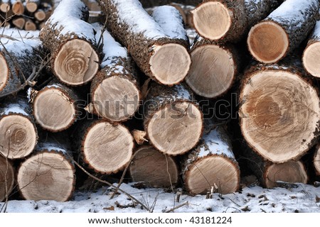 HDR.A pile of logs in the winter snow