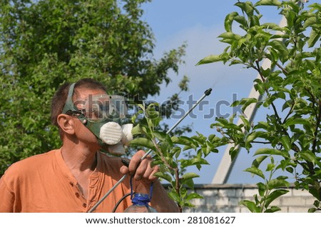 Man spraying tree in the garden