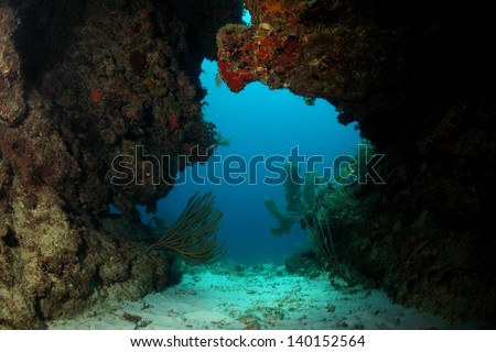 Looking out through the entrance of an underwater cavern - Riviera Maya, Mexico