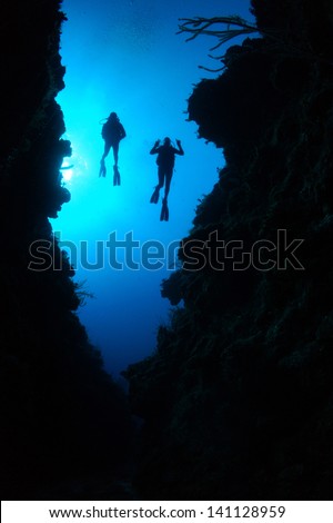 Silhouette Of Two (2) Divers Swimming Over Underwater Canyons On A Coral Reef - Akumal, Riviera Maya - Mexico