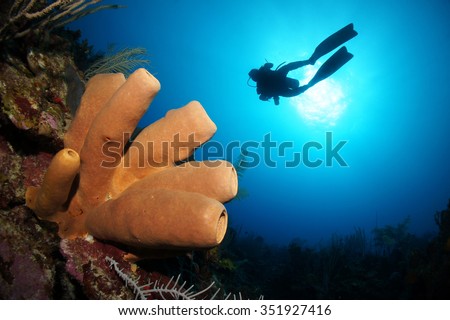 Scuba diver silhouette and sponges, diving in the Caribbean blue water, Riviera Maya, Mexico