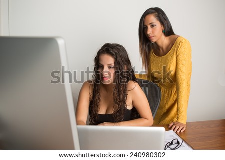 Businesswomen working at the office looking at the computer