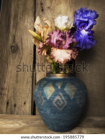 Iris in an old vase