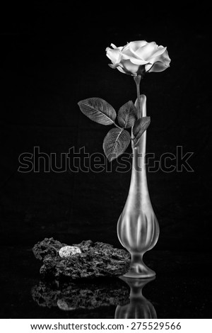 Rose in a Bud Vase with Rocks in Black and White