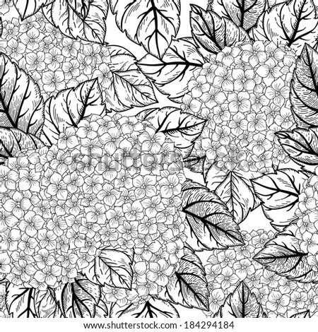 Vector seamless floral pattern with flowers hydrangeas. Black and white background.