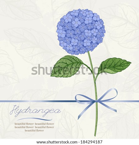 Beautiful greeting card with hydrangea flowers. Vector illustration.