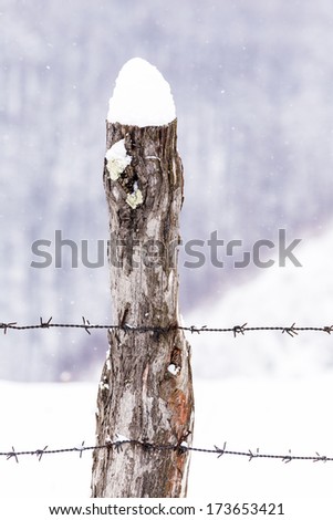 wire fence in snow