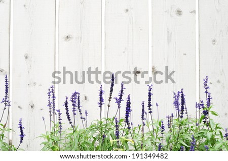 Wooden fence with flower border