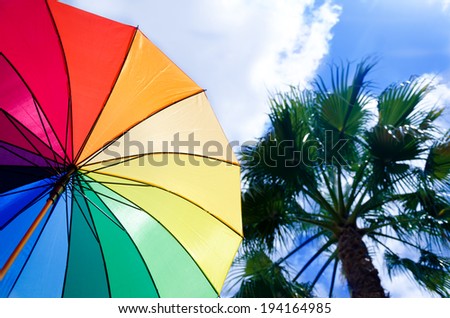 Rainbow umbrella\'s background against a sky and palm tree