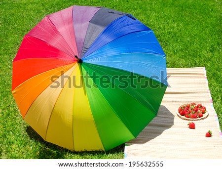 Rainbow umbrella and strawberry in the plate on picnic mat on the grass