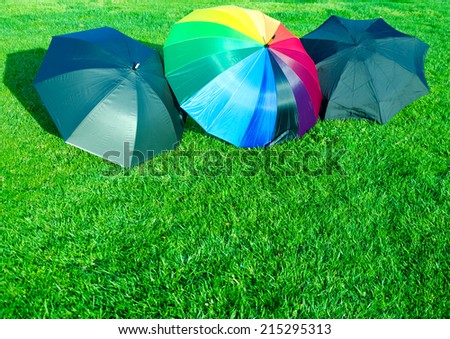 Rainbow and black umbrellas on the green grass