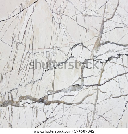 Marble texture background  floor decorative stone interior stone