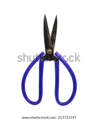 old  scissors. Object is isolated on white background