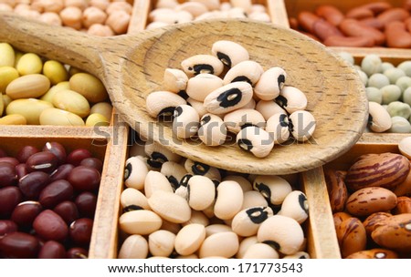 The ranks of different beans: kidney, roman, black eye,edamame, adzuki View from above in wooden box