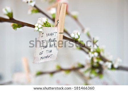 A wish written on paper and attached to a blooming cherry tree branch with a clothes pin