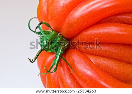 Tomato\'s detail, this kind it\'s called \