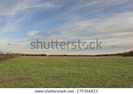 Field in rural areas at the wood. A field with a green grass in cloudy day