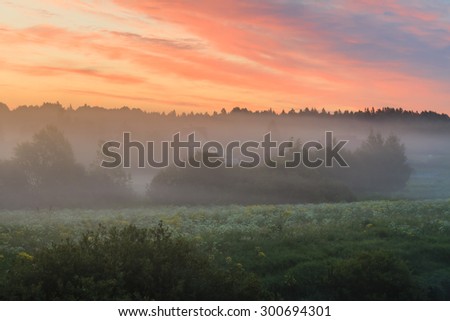 Foggy morning in the village. Bright fine sunrise. Colourful sunrise outdoors. Fantastic foggy river with fresh green grass
