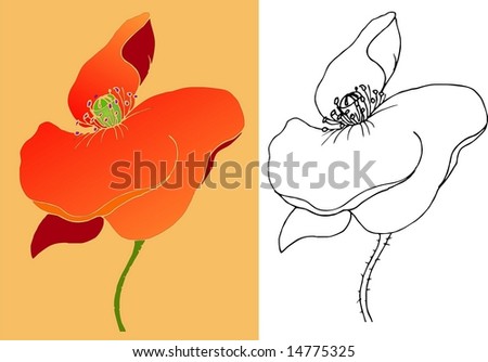 Poppy Flower Outline