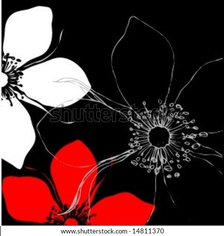 black and white patterns backgrounds. floral pattern background
