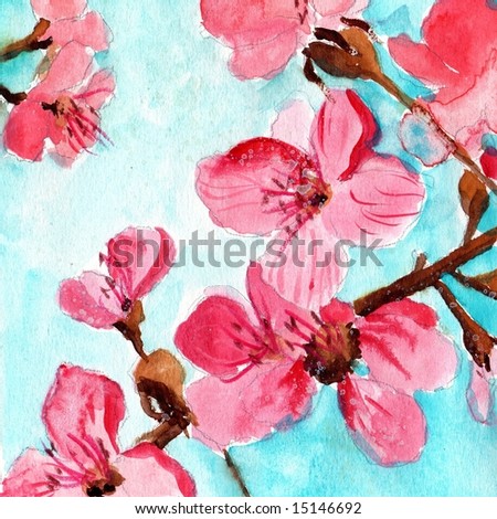 cherry blossom flower background. of floral background with