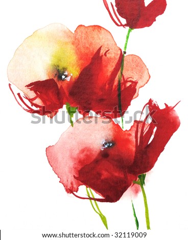 stock photo Red watercolor poppies on white handpainted by photographer