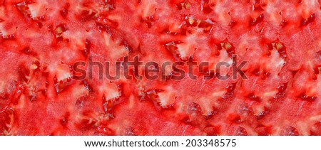 texture tomato  texture tomato photo up close imitation propagated