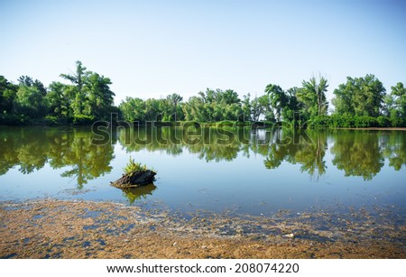 Lake pictures on the background of white clouds / broken tree by the lake