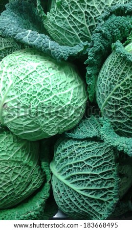 green, fresh cabbages, vegetarian background