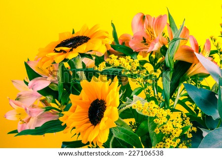 Flower bouquet with autumn flowers, lilies and sunflowers. Yellow background.