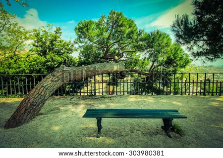 Beautiful landscape with inclined pine and bench, vintage stylized photography.