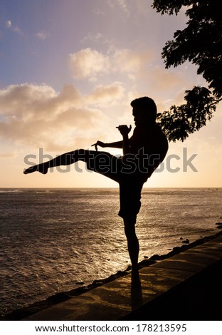 Yoga and fitness. Silhouette of man practicing martial arts on the beach.