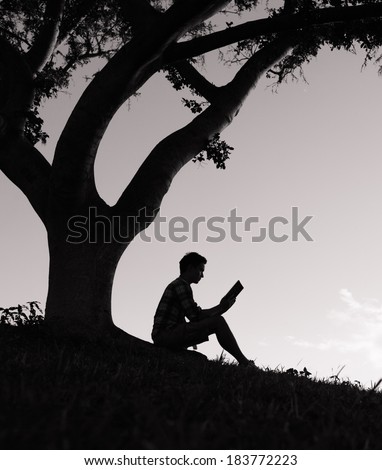 Silhouette of man reading a book in the park. Reading concept.
