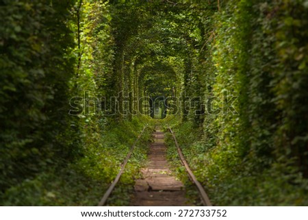 Tunnel of love - railroad tunnel surrounded by green trees, created by trees and passing train - August 26, 2013, Klevan, Ukraine