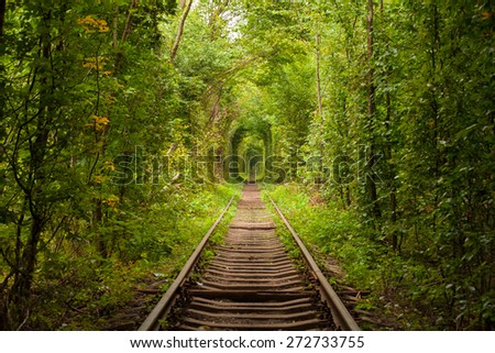 Tunnel of love - railroad tunnel surrounded by green trees, created by trees and passing train - August 26, 2013, Klevan, Ukraine