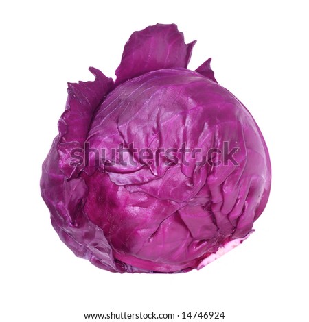 Red cabbage head isolated on white